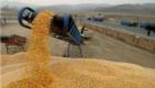 انخفاض واردات الجزائر من الحبوب 8.5% في الربع الأول