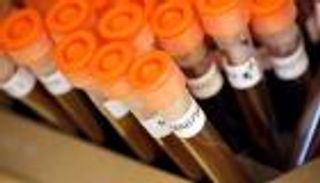 للمرة الأولى.. اكتشاف "البكتيريا الكابوس" في أمريكا