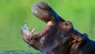 بالفيديو.. اكتشف إرث بارون المخدرات أسكوبار في كولومبيا