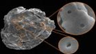 علماء يكتشفون "لوكا" جدة جميع الكائنات الحية على الأرض