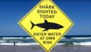 مقتل غطاسة أسترالية في ثاني هجوم لأسماك القرش خلال أسبوع