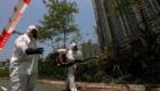 دراسة تكشف علاقة قوية بين "زيكا" ومتلازمة "جيلان-باريه"