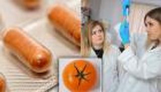 أمل جديد للأزواج المحرومين من الأطفال.. تعرف عليه