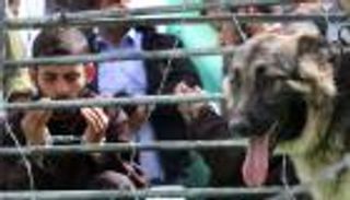 3 أسرى فلسطينيين يضربون عن الطعام في سجون الاحتلال