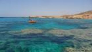 تأجيل الطعن على حكم