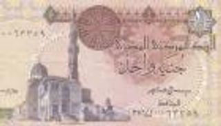 الجنيه المصري يستقر في العطاء الرسمي والسوق السوداء