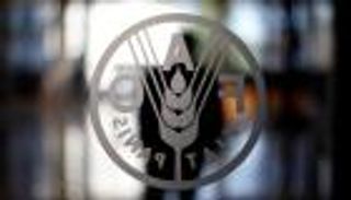 توقعات متفائلة لـ "فاو" مع تراجع أسعار الغذاء