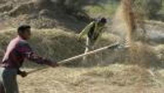 العراق يطرح مناقصة لشراء 50 ألف طن من الأرز