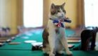 استقالة كاميرون من منصبه لا تعني رحيل