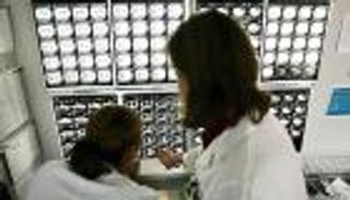 طريقة جديدة لعلاج السرطان تحمي الخلايا السليمة من "الكيماوي"