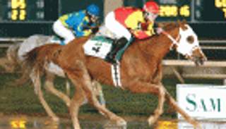 مسرح هوليوود يزدان بحفل تكريم الفائزين بـ" دارلي أوورد أم الإمارات "