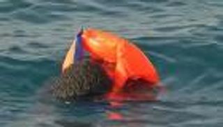 غرق 3 مهاجرين لدى محاولتهم عبور نهر إلى مقدونيا