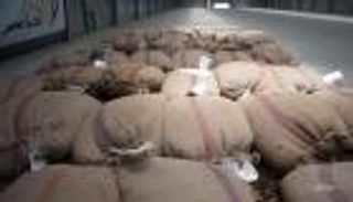 مصر تشتري 1.8 مليون طن من القمح المحلي منذ 15 أبريل