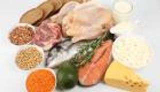 البروتين سلاح فعال في مواجهة السمنة