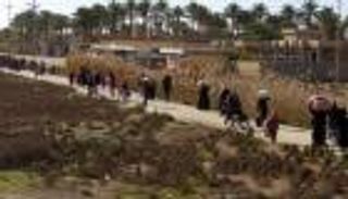 البنتاجون: الفلوجة 