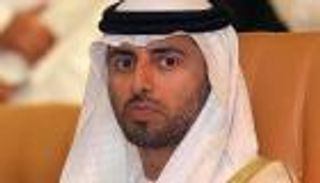 وزير الطاقة الإماراتي: انهيار أسعار النفط يجبر على وضع سقف