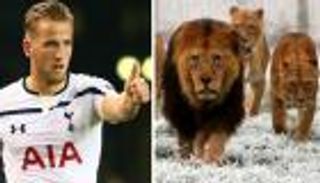 هاري كين يبدأ تنفيذ خطة الأسود لتخطي ليستر