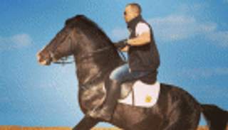 بالفيديو.. أحمد السقا يستعرض عضلاته مع مدربه