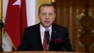 خبير: أردوغان استغل الانقلاب لنيل صلاحيات 