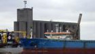 مصر تشتري 60 ألف طن من القمح الفرنسي في مناقصة