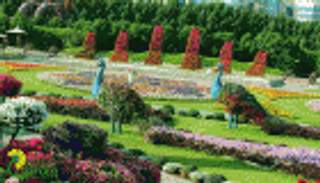 فيديوجراف.. اختتام أكبر حديقة زهور في العالم بدبي