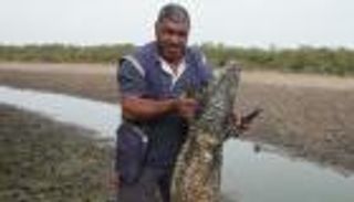 بالفيديو.. جفاف المياه يحول تماسيح باراجواي إلى هياكل