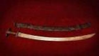 سيف طارق بن زياد يجدد خلافا مغربيا جزائريا