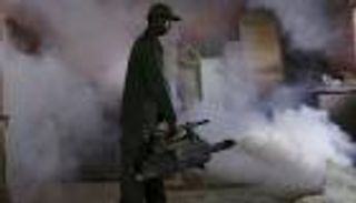 دراسات على الفئران الحوامل المصابة بزيكا تكشف مفاجأة