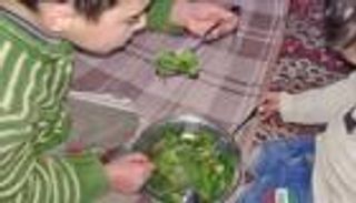 قطط ونفايات وأوراق شجر طعام أهل 