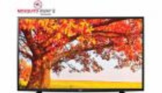 جيل جديد يحارب الفيروسات.. تلفزيونات تطرد البعوض وتصد زيكا