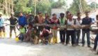 العثور على ثعبان قد يكون الأطول في العالم.. ما طوله؟