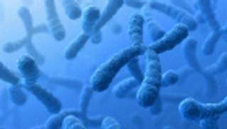 أوروبا تعطي الضوء الأخضر لأول علاج جيني لـ"أطفال الفقاعة"