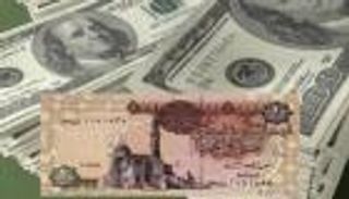 المركزي: مصر لن "تعوم" الجنيه قبل تعافي الاحتياطي الأجنبي