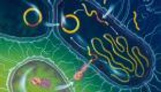 العلماء يكتشفون خطط الميكروبات في مقاومة العقاقير