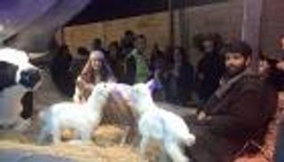 في ظل تساقط الشهداء.. إلغاء احتفالات أعياد الميلاد ببيت لحم