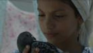 أفلام قصيرة تبحر في الحالات الإنسانية في ضعفها وقوتها