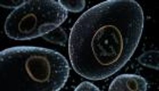 علماء يكتشفون أسباب سرطان الغدة والثدي والبنكرياس