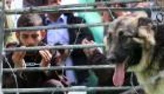 فشل الحوار بين الأسرى والاحتلال ينذر بانفجار سجون الاحتلال