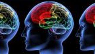 دراسة علمية تدافع عن الكسالى والفاشلين: النجاح محدد منذ الميلاد