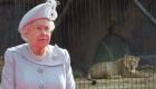 بالصور: الملكة إليزابيث والأسد