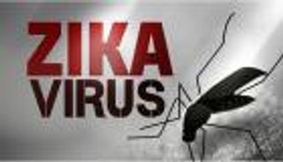 كوريا الجنوبية تؤكد أول إصابة بفيروس زيكا