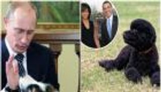 "بو" و"صني" أوباما ، و"كوني" بوتين.. كلاب اكتسبت شهرتها من الرؤساء