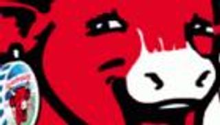 طوارئ في أسواق الجزائر والسبب "بقرة ضاحكة"