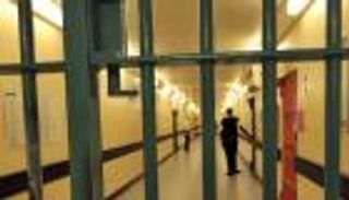 هولندية تستغل طفلا عمره 3 سنوات لتهريب مخدرات للسجن