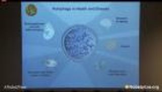 نوبل للطب تذهب لعالم ياباني لأبحاثه عن "الالتهام الذاتي"