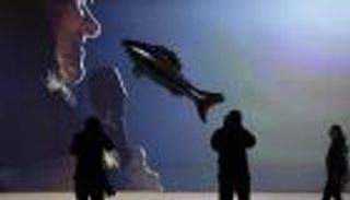 بالصور: أسماك تعوم في فضاء معرض بارينو في "تايت مودرن" لندن