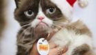 تمثال شمعي وتكريم في برودواي للقطة الغاضبة الشهيرة