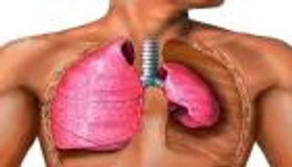 إنفوجراف.. المؤتمر الطبي العالمي لأمراض الجهاز التنفسي بدبي 