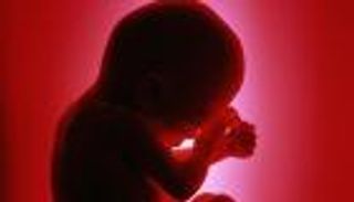 السلفادور تتجه لإلغاء تجريم الإجهاض في هذه الحالات