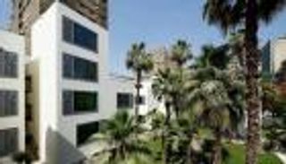 36 ساعة احتفالا متواصلا.. جوته تدشن مرحلة جديدة في مصر